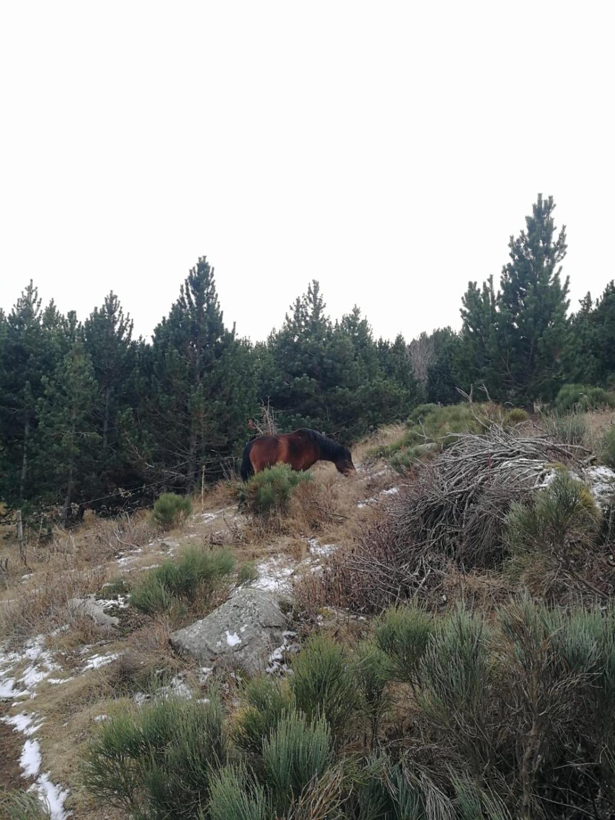 Pyrenees Catalanes Tres Joli Appartement 300M Telecabines Font-Romeu-Odeillo-Via Ngoại thất bức ảnh