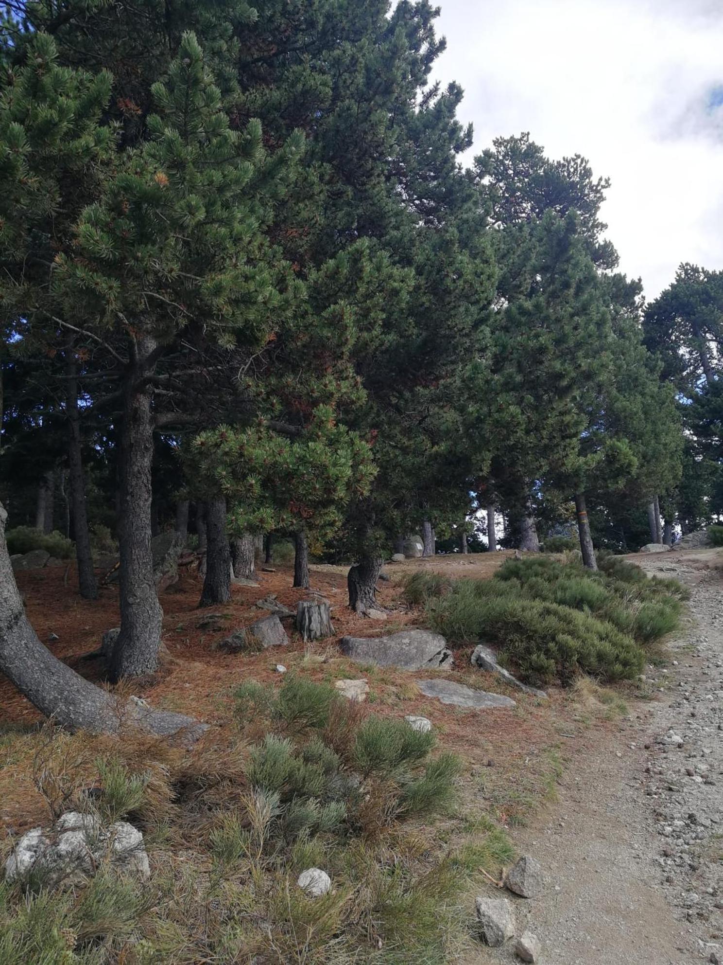 Pyrenees Catalanes Tres Joli Appartement 300M Telecabines Font-Romeu-Odeillo-Via Ngoại thất bức ảnh
